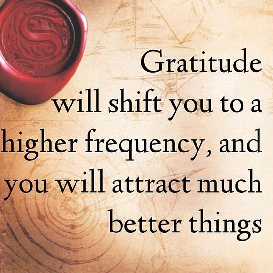 Attitude and Gratitude Quotes