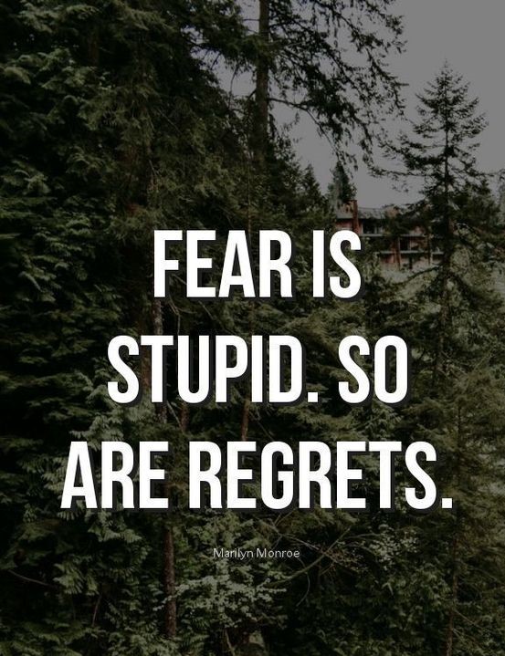 Fear and Regret Quote