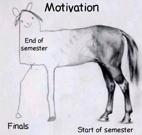 Memes For Students For Finals