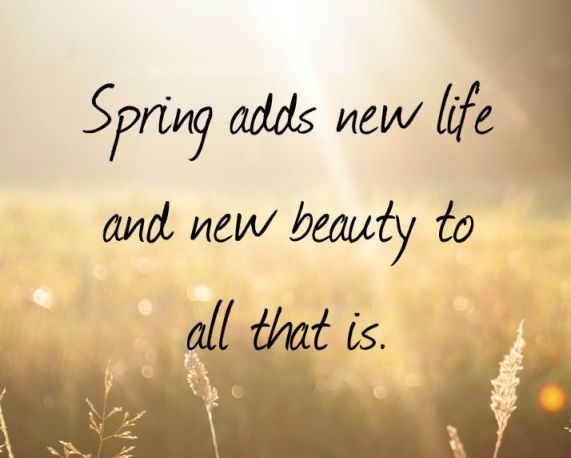 Picture Quote On Spring And New Beginning