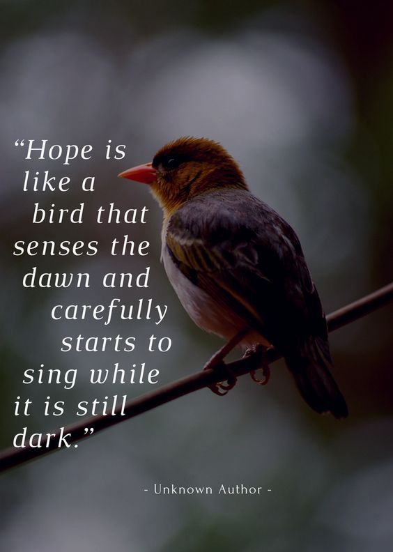 Sayings On Hope For The Future