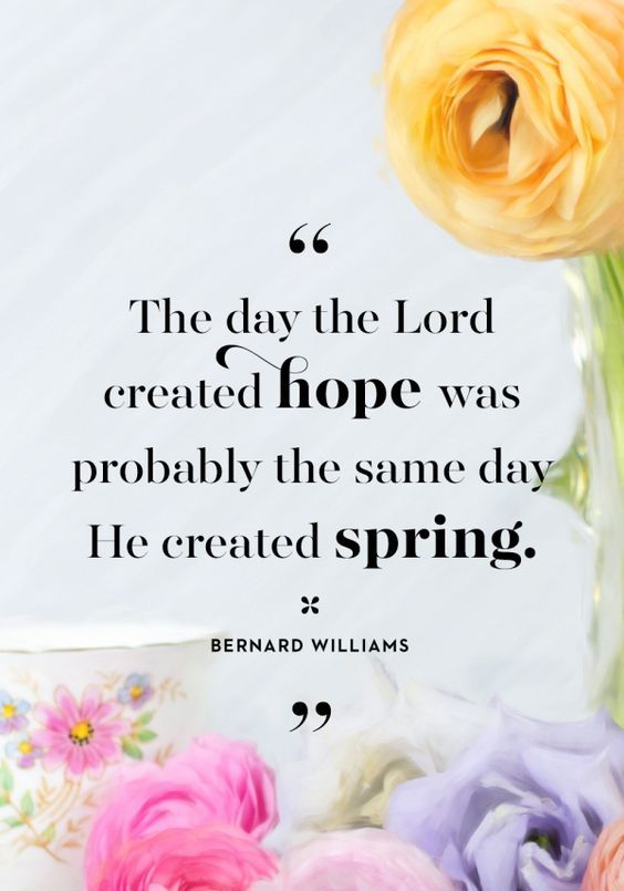 300 Cute Easter Instagram Captions and Quotes InspiraQuotes