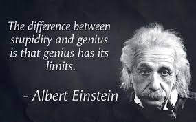 Albert Einstein Quotes about Stupidity