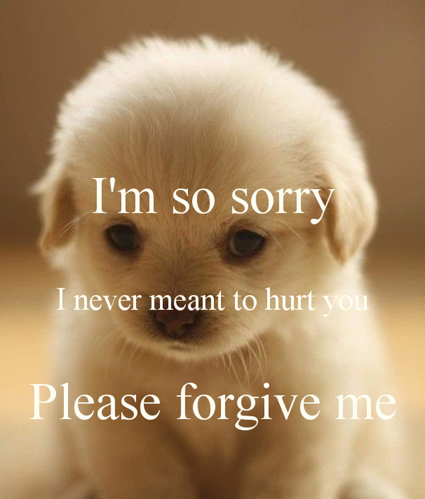 cute forgiveness quotes images hd 